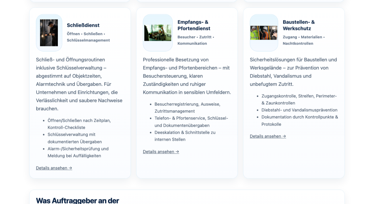 SafeTec24 website preview